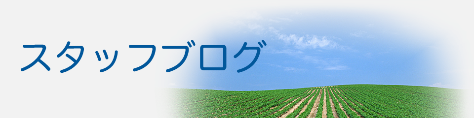 スタッフブログ