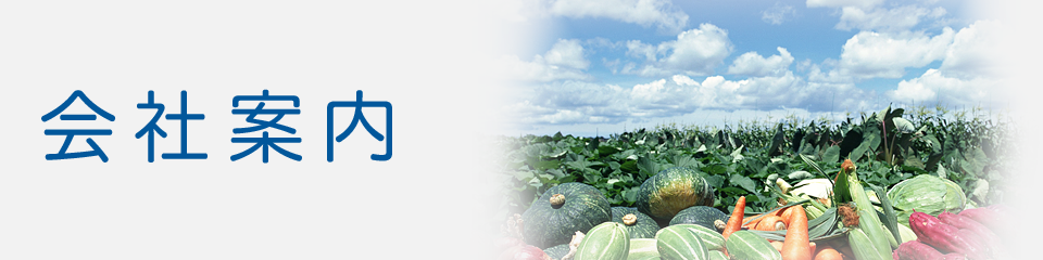 会社案内
